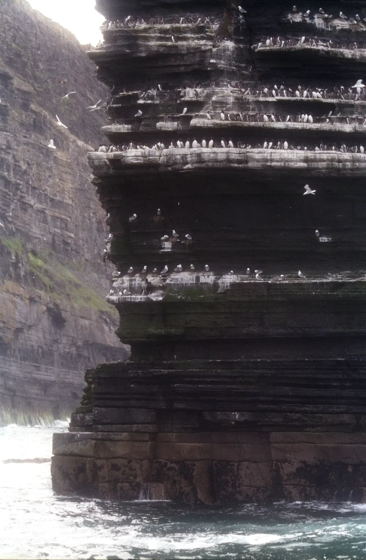 The Cliffs of Moher and Branaunmore sea stack seen from water level, the view on a boat tour from Dublin to Cliffs of Moher, Ireland
